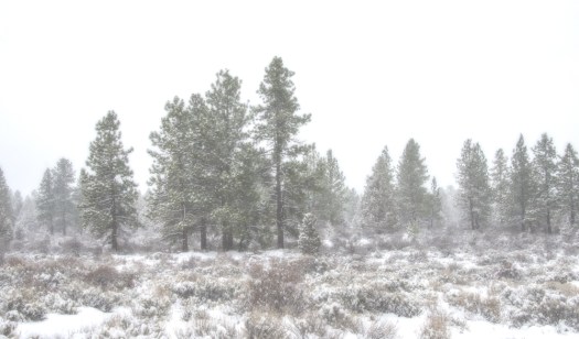 Maralee_Park_140207_60824-Edit