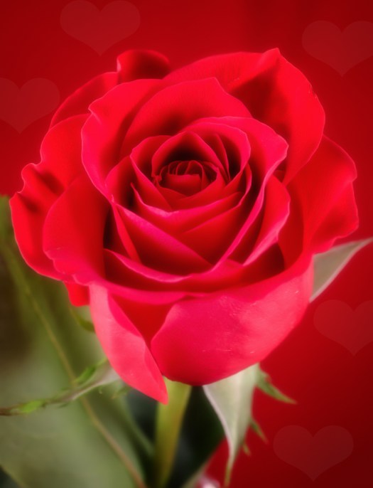 Maralee_Park_140207_61191-Edit