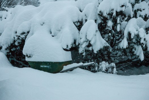 February 8, 2014 at 7:00 a.m.