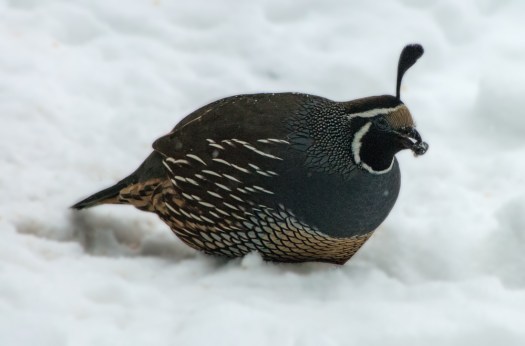 Maralee_Park_140208_61094-Edit