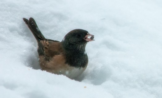 Maralee_Park_140208_61129-Edit