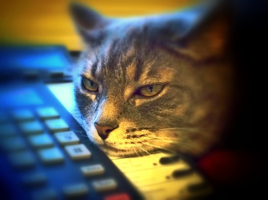 Miranda waiting . . . and waiting . . . and waiting