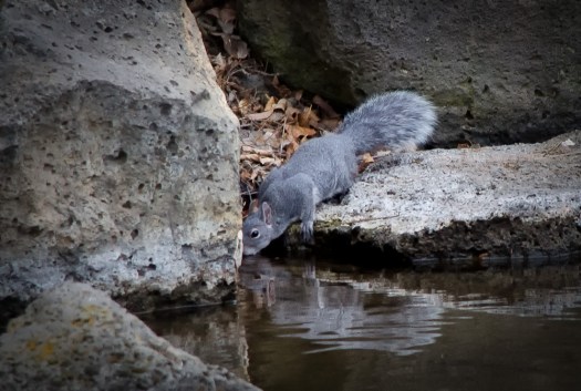 Maralee_Park_130325_44612-Edit