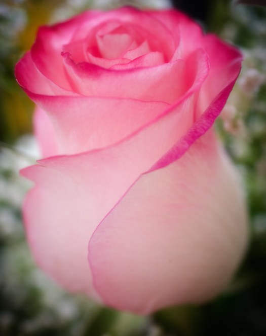 Maralee_Park_140301_61334-Edit