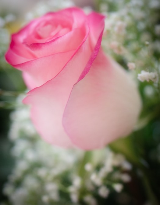 Maralee_Park_140301_61340-Edit