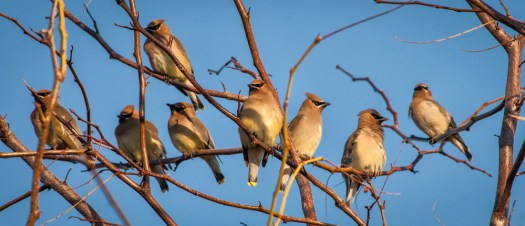 Maralee_Park_140323_61855-Edit