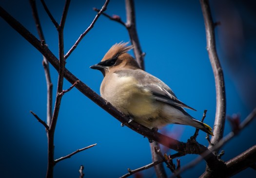 Maralee_Park_140329_61888-Edit