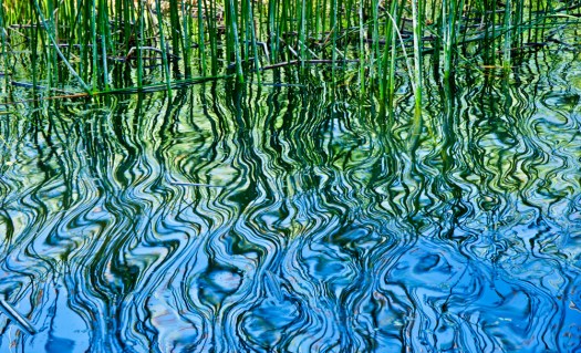 Maralee_Park_Day 232_00002