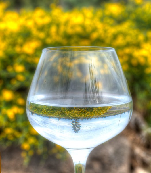 Maralee_Park_Day163_00001