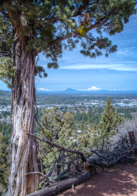 Maralee_Park_140408_62114_3_2