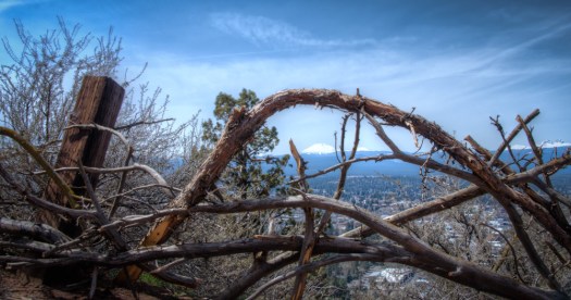 Maralee_Park_140408_62135_4_3