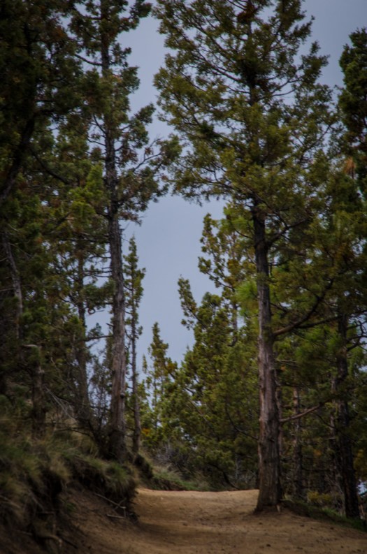 Maralee_Park_140408_62173-Edit