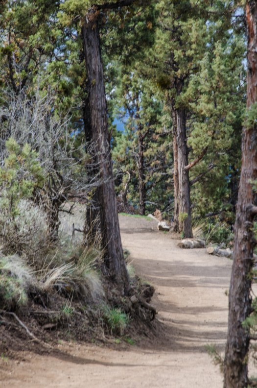 Maralee_Park_140408_62184-Edit