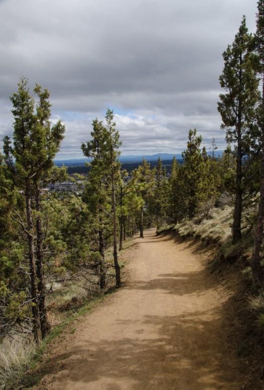 Maralee_Park_140408_62236