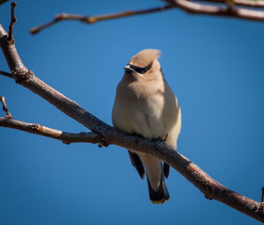 Maralee_Park_140412_62270-Edit