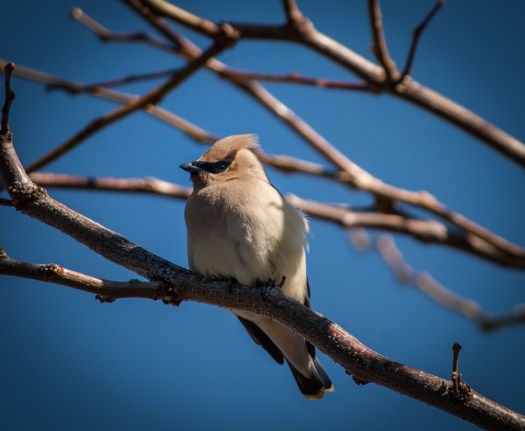 Maralee_Park_140412_62275-Edit