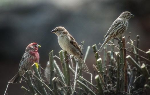 I'll tell you what the problem is!!