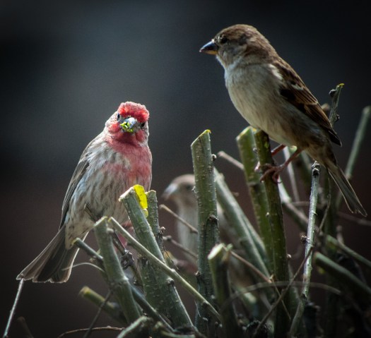 And the problem with that is?