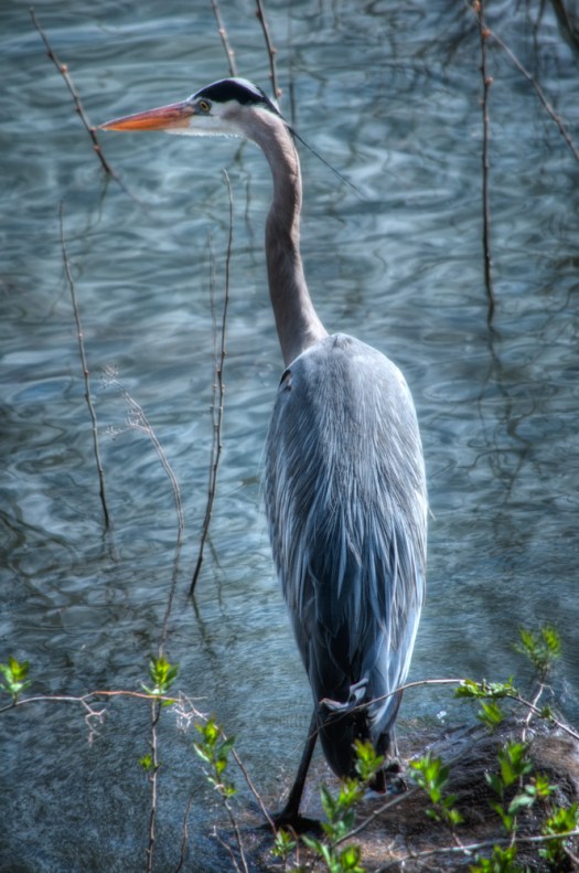 Maralee_Park_140424_62540_39_38