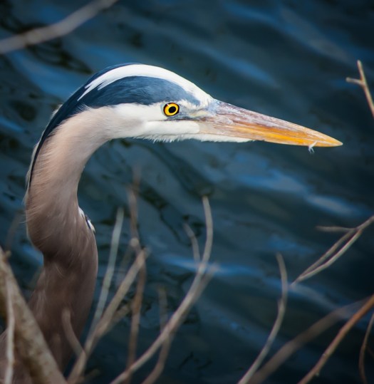 Maralee_Park_140424_62595-Edit