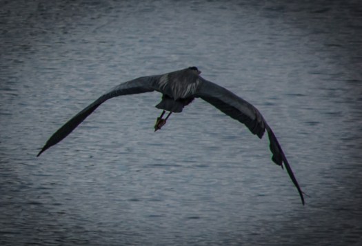 Maralee_Park_140424_62615