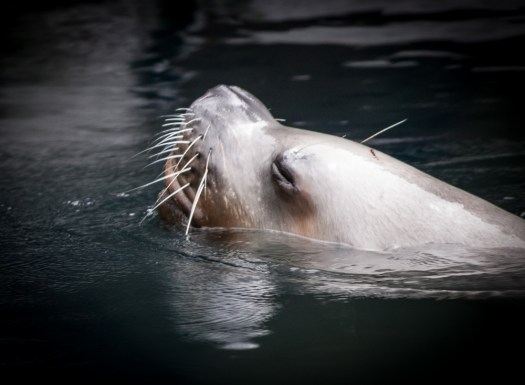 Maralee_Park_140425_62617