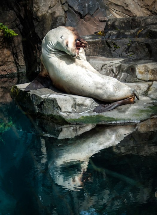 Maralee_Park_140425_62740-Edit