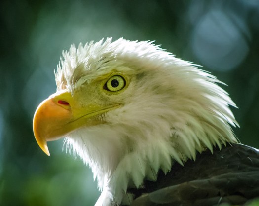 Maralee_Park_140425_62764-Edit