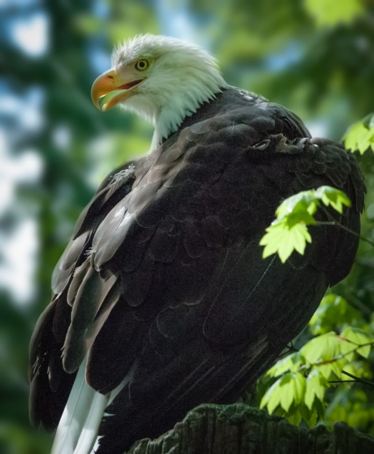 Maralee_Park_140425_62774-Edit