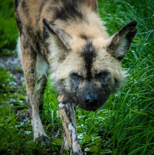 Maralee_Park_140425_62630-Edit