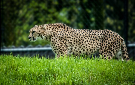 Maralee_Park_140425_62659-Edit