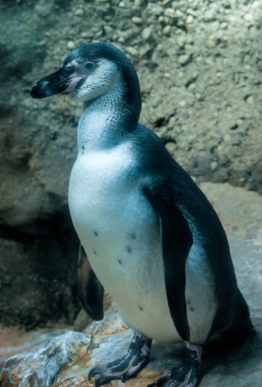 Maralee_Park_140425_62688-Edit