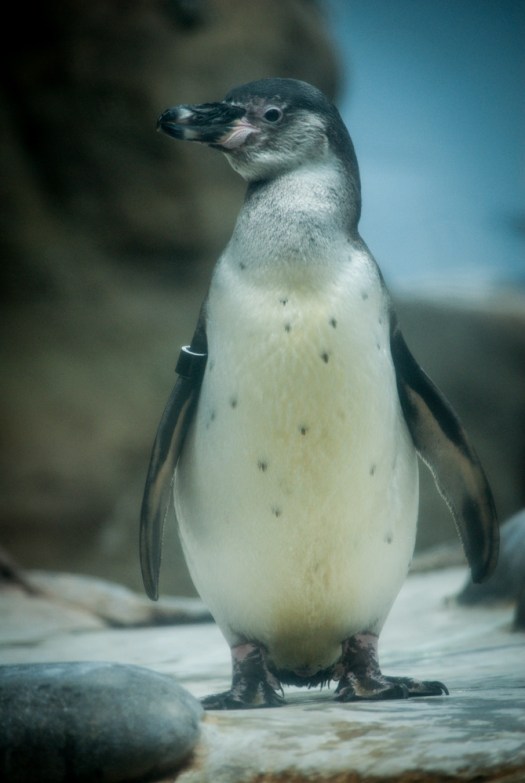 Maralee_Park_140425_62696