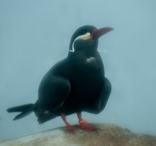 Maralee_Park_140425_62711