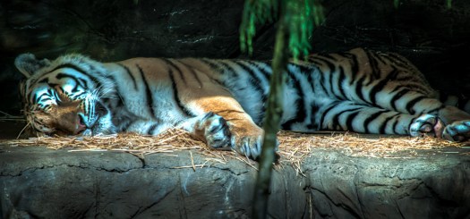 Maralee_Park_140425_62722_1_0