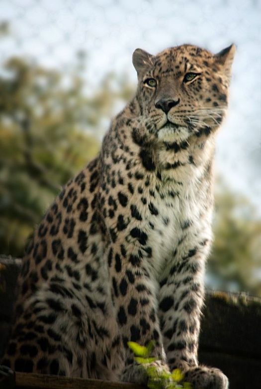 Maralee_Park_140425_62729-Edit