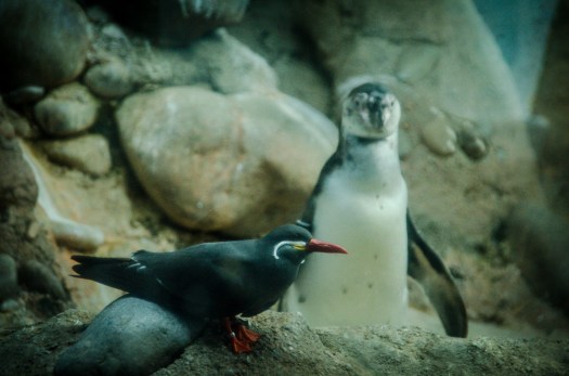 Maralee_Park_140425_63070