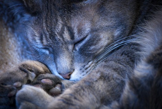 Maralee_Park_140506_63654