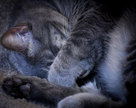 Maralee_Park_140506_63657