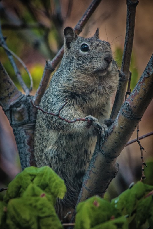 Maralee_Park_140507_63696-Edit