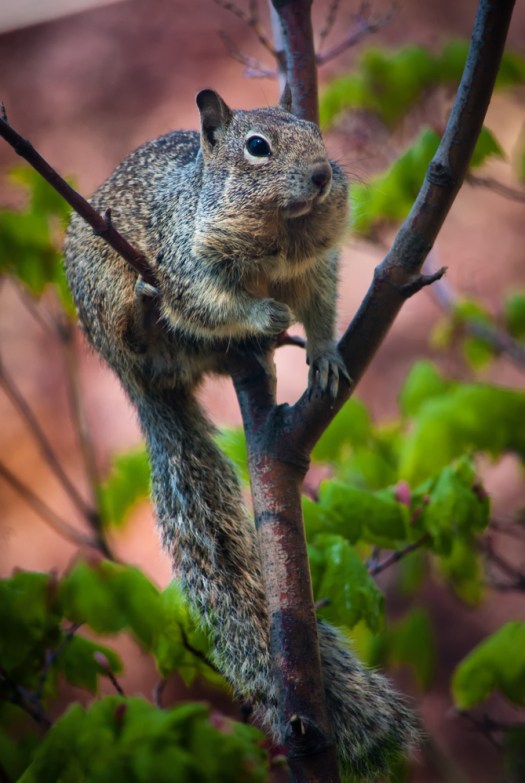 Maralee_Park_140507_63706-Edit