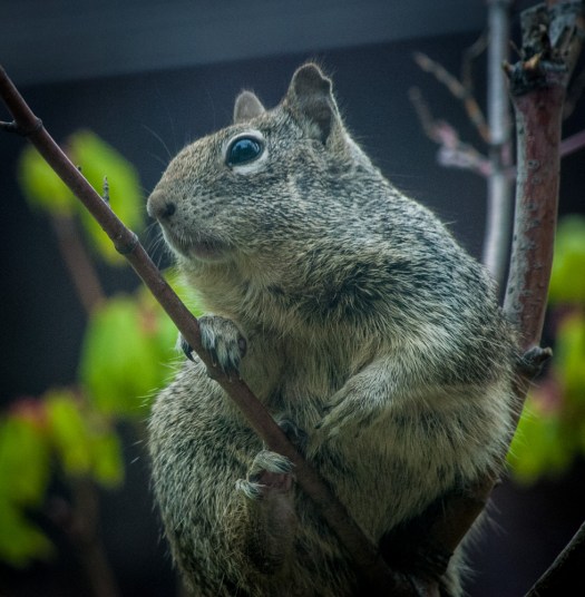 Maralee_Park_140508_63736