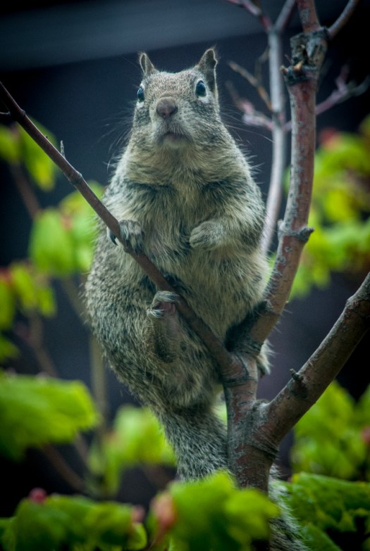 Maralee_Park_140508_63742