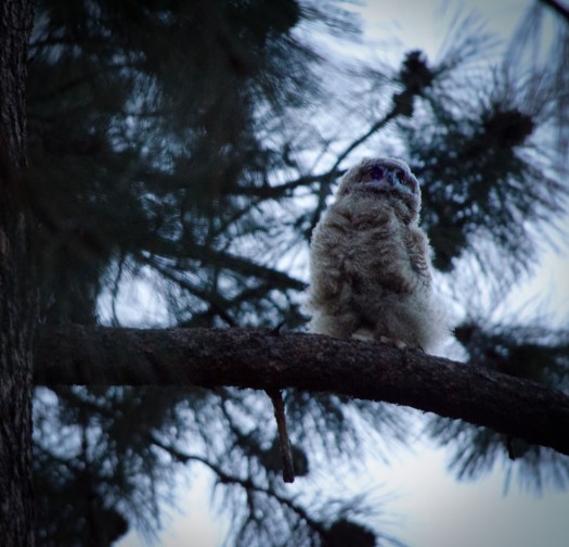 Maralee_Park_140509_63828-Edit-Edit