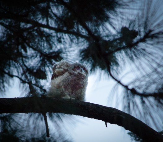 Maralee_Park_140509_63855-Edit