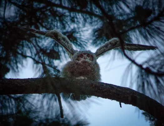 Maralee_Park_140509_63862-Edit