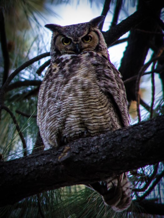 Maralee_Park_140511_63991-Edit