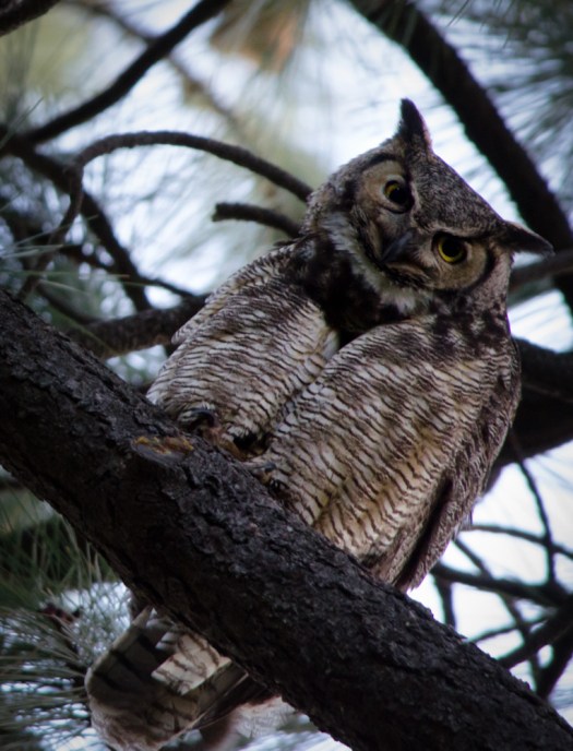 Maralee_Park_140511_63998-Edit