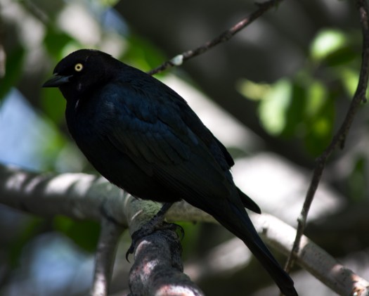 Maralee_Park_140512_64066-Edit