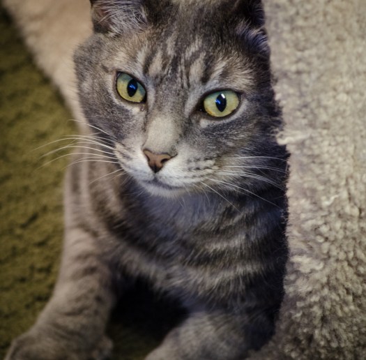 Maralee_Park_140513_64087